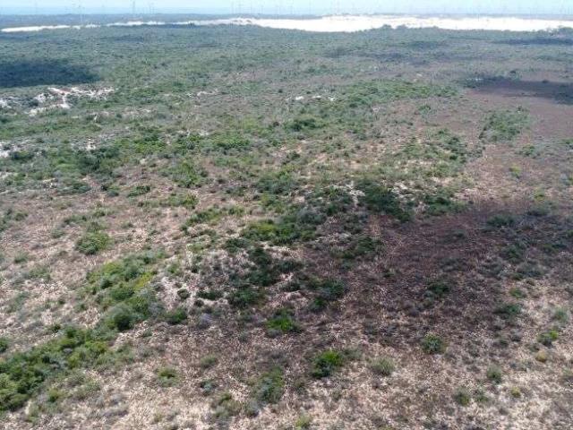 Sítio e chácara venda em Rio do Fogo