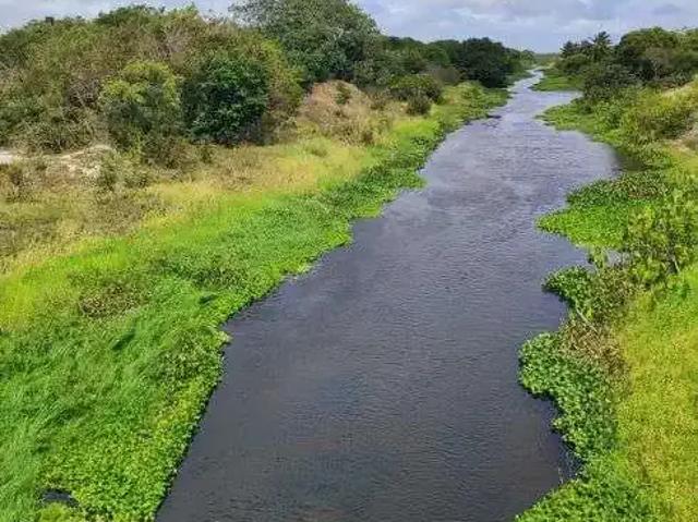 Sítio e chácara venda em Região Geográfica Imediata de Natal, Rio do Fogo
