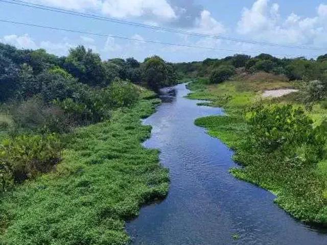 Sítio e chácara venda em Região Geográfica Imediata de Natal, Rio do Fogo