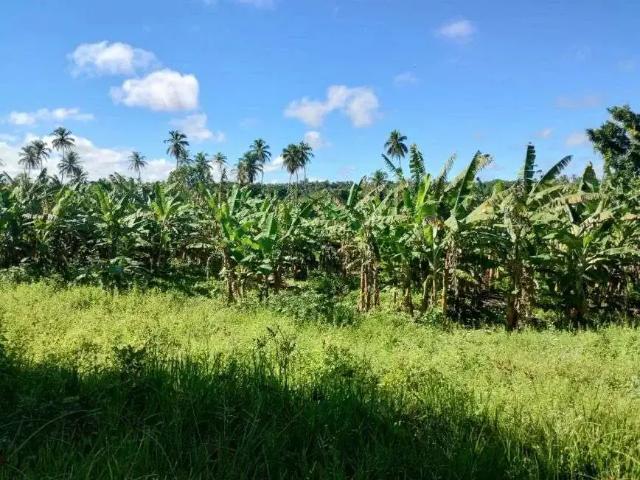 Sítio e chácara venda em Região Geográfica Imediata de Rio do Sul, Rio do Sul