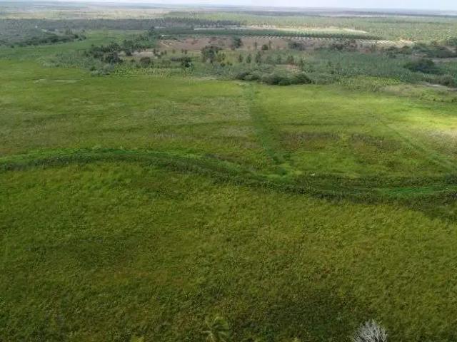 Sítio e chácara venda em Região Geográfica Imediata de Natal, Rio do Fogo