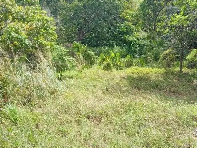 Sítio e chácara venda em Região Geográfica Imediata de Rio do Sul, Rio do Sul