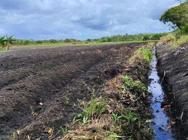Sítio e chácara venda em Centro, Rio do Sul