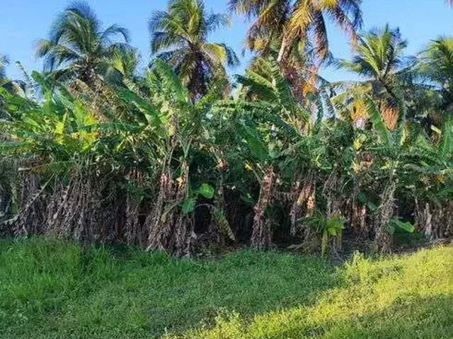 Sítio e chácara venda em Região Geográfica Imediata de Rio do Sul, Rio do Sul