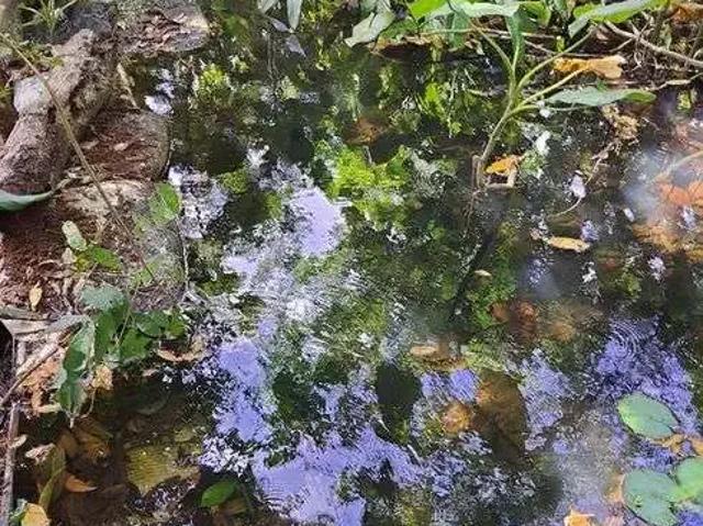 Sítio e chácara venda em Região Geográfica Imediata de Rio do Sul, Rio do Sul