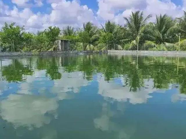 Sítio e chácara venda em Região Geográfica Imediata de Rio do Sul, Rio do Sul
