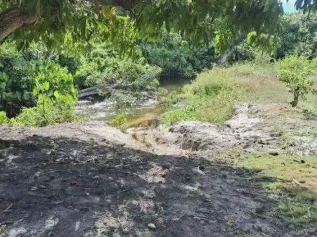 Sítio e chácara venda em Região Geográfica Imediata de Rio do Sul, Rio do Sul