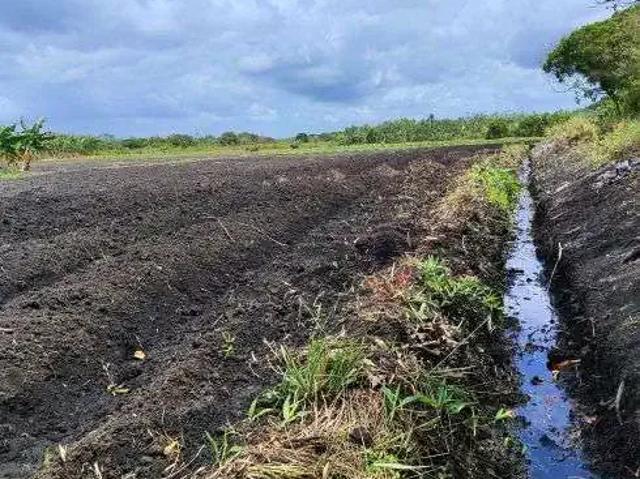 Sítio e chácara venda em Região Geográfica Imediata de Rio do Sul, Rio do Sul