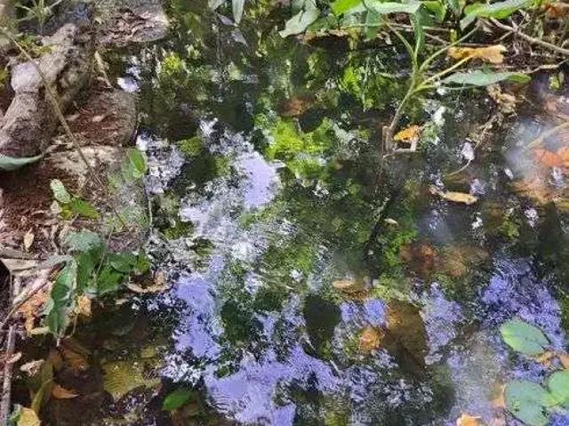 Sítio e chácara venda em Região Geográfica Imediata de Rio do Sul, Rio do Sul