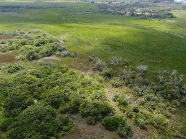 Sítio e chácara venda em Região Geográfica Imediata de Rio do Sul, Rio do Sul