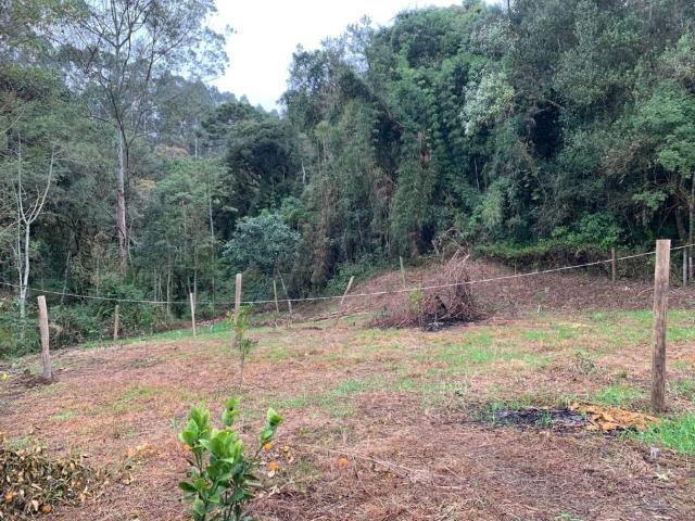 Sítio e chácara venda em Região Geográfica Imediata de Blumenau, Rio dos Cedros
