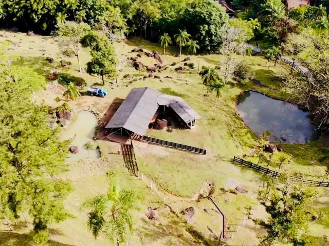 Sítio e chácara venda em Região Geográfica Imediata de Blumenau, Rio dos Cedros