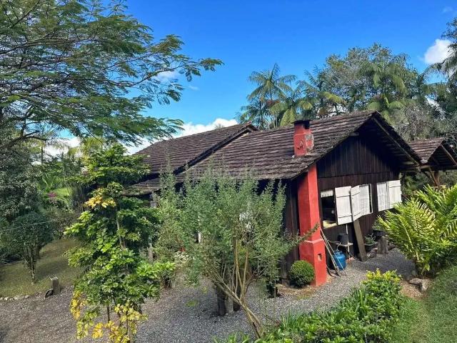 Sítio e chácara venda em Região Geográfica Imediata de Blumenau, Rio dos Cedros