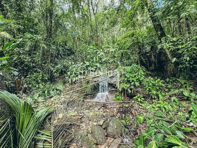 Sítio e chácara venda em Região Geográfica Imediata de Blumenau, Rio dos Cedros