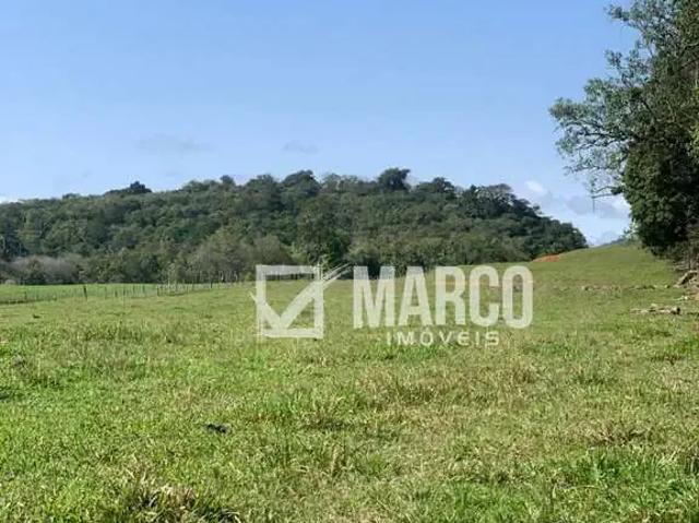 Sítio e chácara venda em Região Geográfica Imediata de Blumenau, Rio dos Cedros