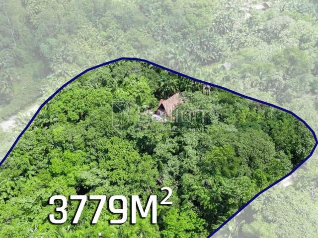 Sítio e chácara venda em Cruzeiro, Rio dos Cedros