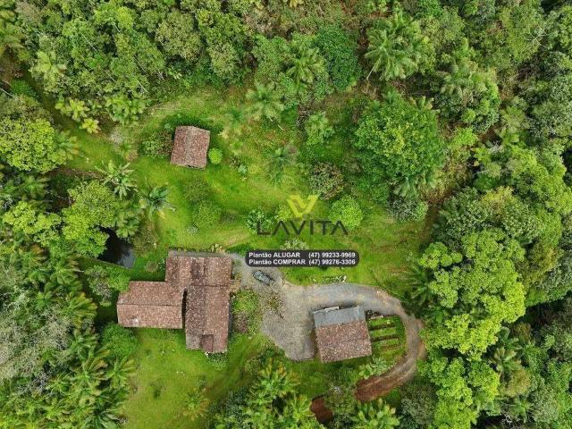 Sítio e chácara venda em Região Geográfica Imediata de Blumenau, Rio dos Cedros