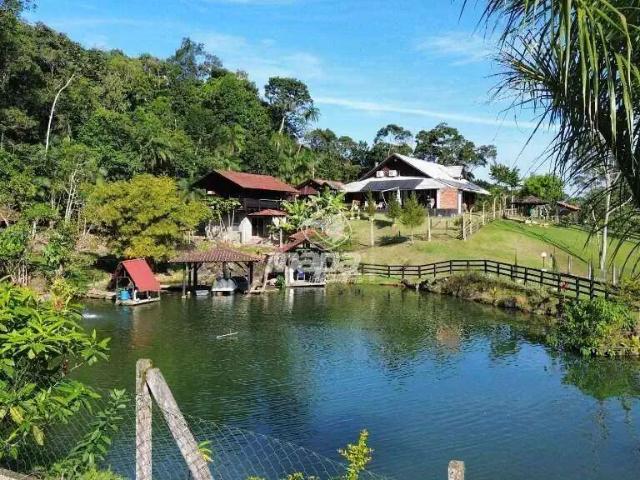 Sítio e chácara venda em Região Geográfica Imediata de Blumenau, Rio dos Cedros
