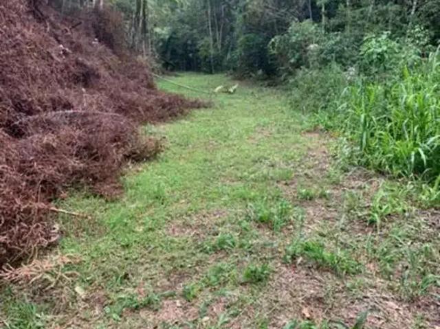 Sítio e chácara venda em Região Geográfica Imediata de Blumenau, Rio dos Cedros