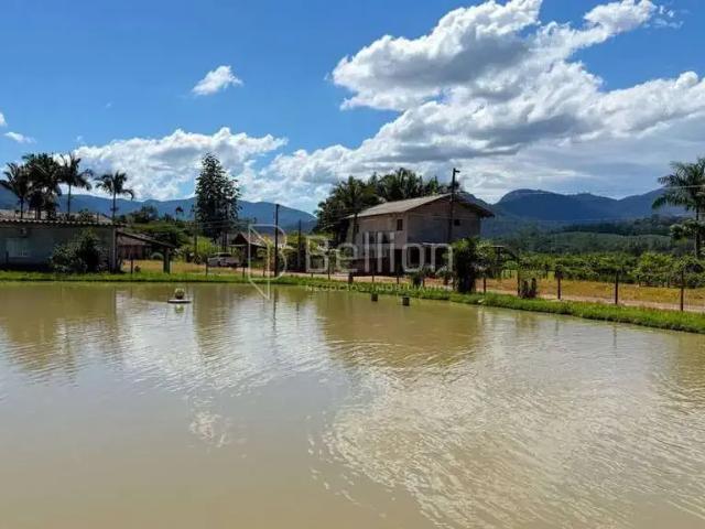 Sítio e chácara venda em Região Geográfica Imediata de Blumenau, Rio dos Cedros