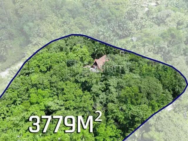 Sítio e chácara venda em Região Geográfica Imediata de Blumenau, Rio dos Cedros