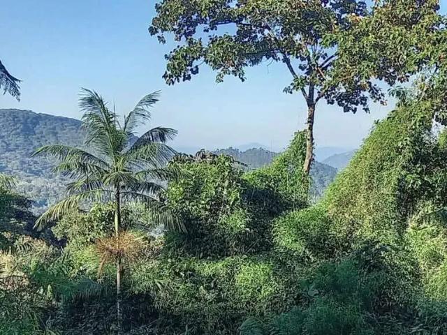 Sítio e chácara venda em Região Geográfica Imediata de Blumenau, Rio dos Cedros
