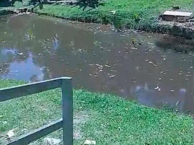 Sítio e chácara venda em Região Imediata de São Paulo, Região Metropolitana de São Paulo