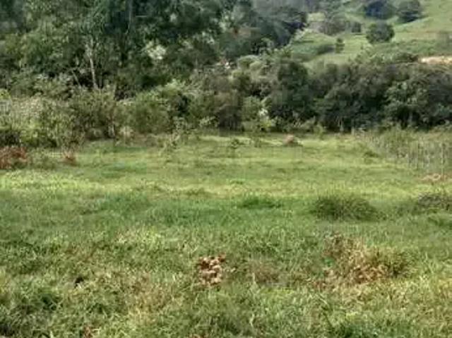 Sítio e chácara venda em Região Geográfica Imediata de Uberlândia, Oliveira Fortes