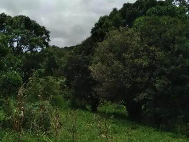 Sítio e chácara venda em Região Geográfica Imediata de Oliveira, Região Metropolitana de Belo Horizonte