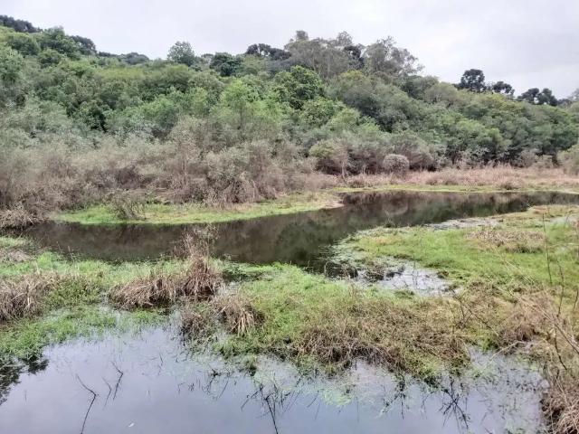 Sítio e chácara venda em Região Geográfica Imediata de São Bento do Sul-Rio Negrinho, Rio Negrinho