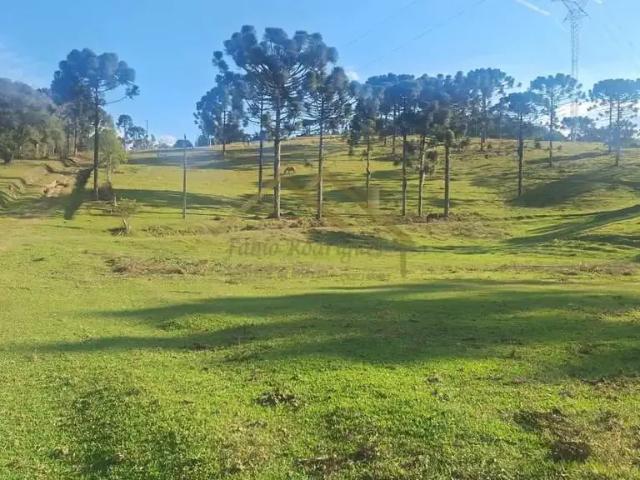 Sítio e chácara venda em Região Geográfica Imediata de São Bento do Sul-Rio Negrinho, Rio Negrinho