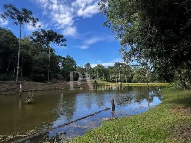 Sítio e chácara venda em Região Geográfica Imediata de São Bento do Sul-Rio Negrinho, Rio Negrinho