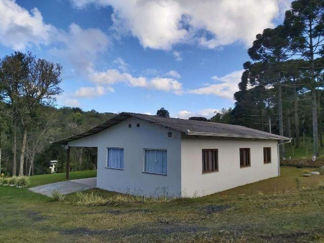 Sítio e chácara venda em Região Geográfica Imediata de São Bento do Sul-Rio Negrinho, Rio Negrinho