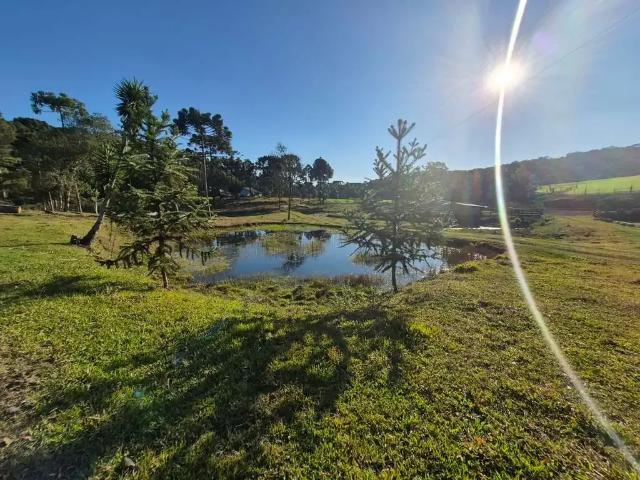 Sítio e chácara venda em Região Geográfica Imediata de São Bento do Sul-Rio Negrinho, Rio Negrinho