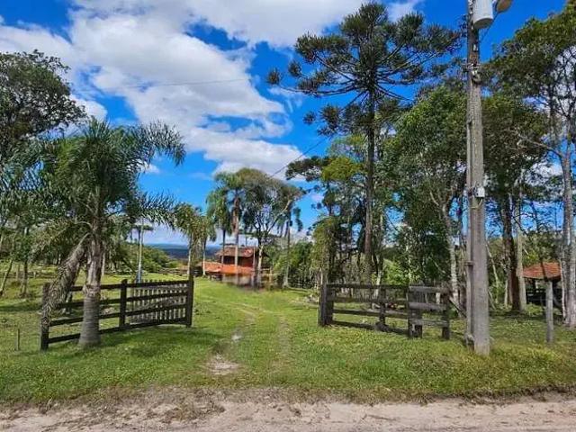 Sítio e chácara venda em Região Geográfica Imediata de Cascavel, Cascavel