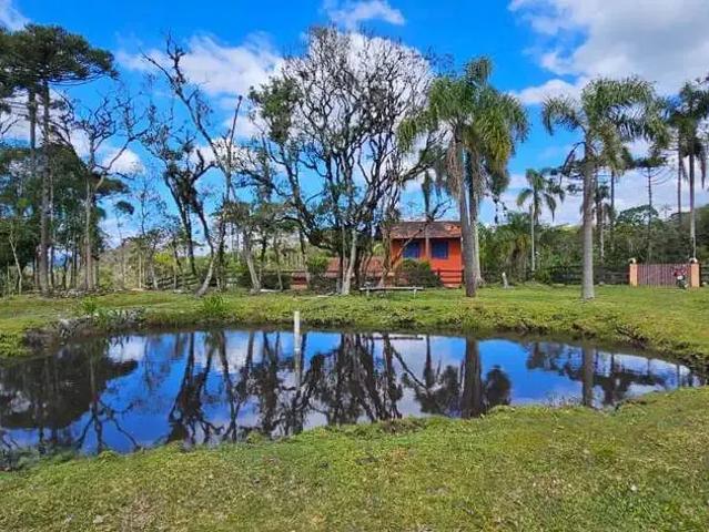 Sítio e chácara venda em Região Geográfica Imediata de Cascavel, Cascavel