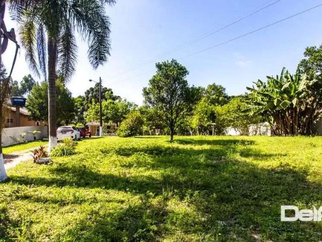 Sítio e chácara venda em Região Geográfica Imediata de Curitiba, Rio Negro