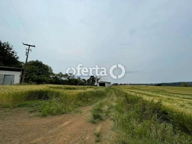 Sítio e chácara venda em Região Geográfica Imediata de Curitiba, Rio Negro