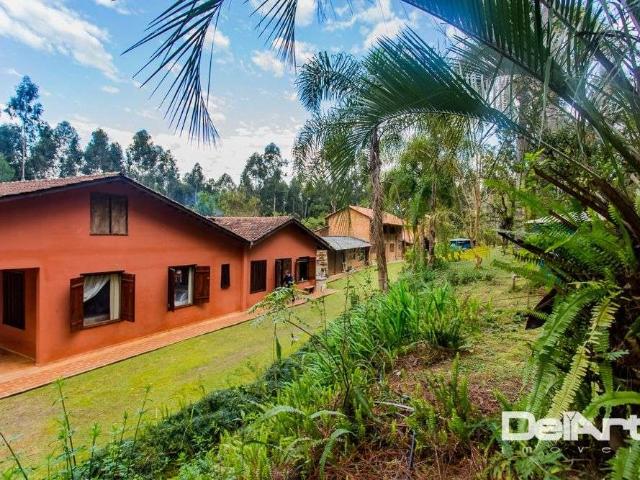 Sítio e chácara venda em Região Geográfica Imediata de Curitiba, Rio Negro