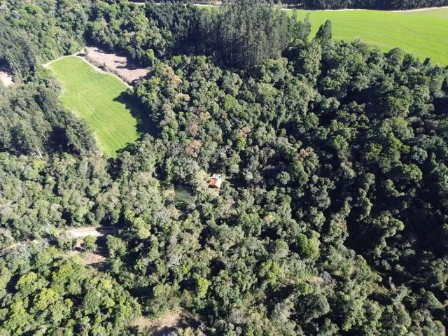 Sítio e chácara venda em Região Geográfica Imediata de Curitiba, Campo do Tenente