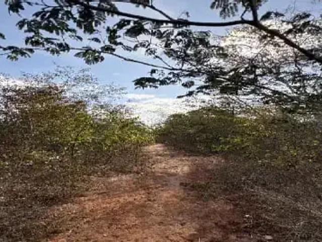 Sítio e chácara venda em Região Geográfica Imediata de Salinas, Rio Pardo de Minas