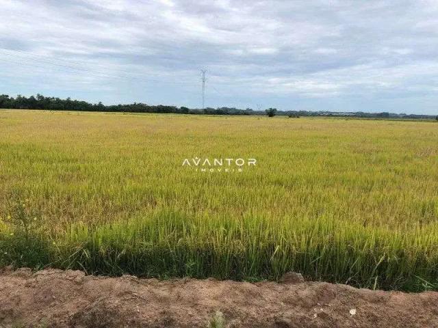 Sítio e chácara venda em Região Imediata de São José do Rio Pardo-Mococa, São José do Rio Pardo