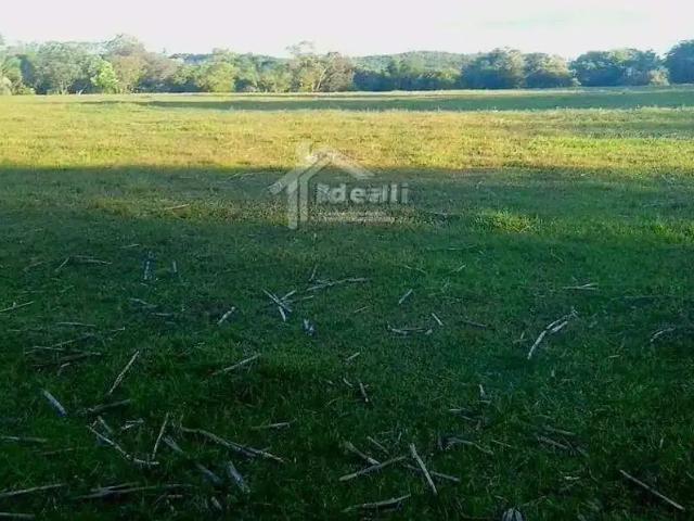 Sítio e chácara venda em Região Geográfica Imediata de Santa Cruz do Sul, Rio Pardo