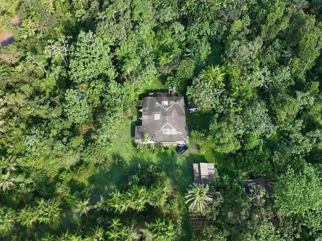 Sítio e chácara venda em Região Geográfica Imediata de Manaus, Rio Preto da Eva