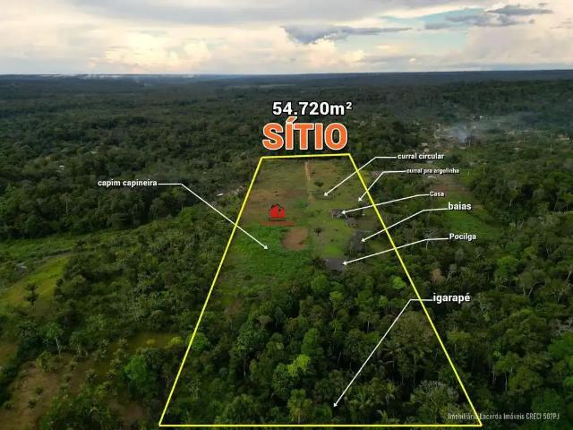 Sítio e chácara venda em Região Geográfica Imediata de Manaus, Rio Preto da Eva