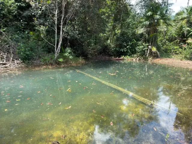 Sítio e chácara venda em Região Geográfica Imediata de Manaus, Rio Preto da Eva