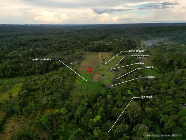Sítio e chácara venda em Região Geográfica Imediata de Manaus, Rio Preto da Eva