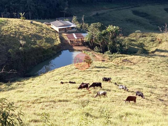 Sítio e chácara venda em Região Geográfica Imediata de Juiz de Fora, Rio Preto