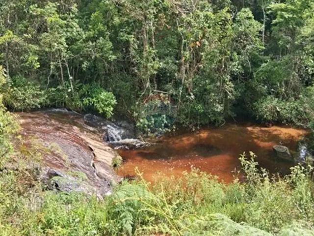 Sítio e chácara venda em Região Geográfica Imediata de Juiz de Fora, Rio Preto