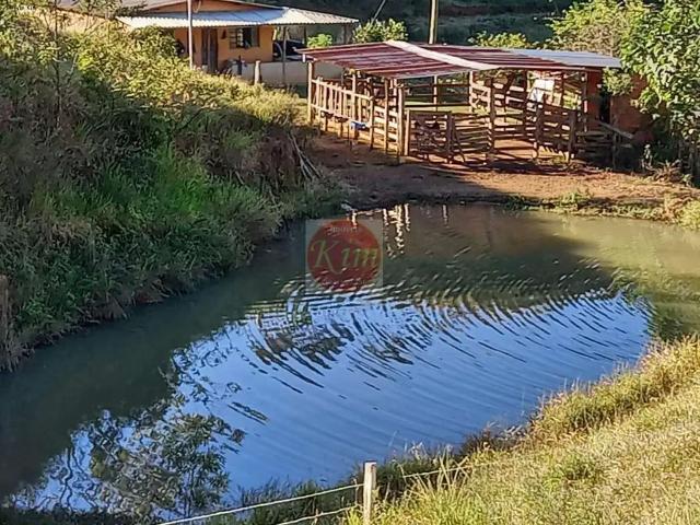 Sítio e chácara venda em Rio Preto, Região Geográfica Intermediária de Juiz de Fora